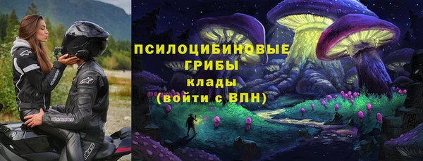PSILOCYBIN Зеленокумск