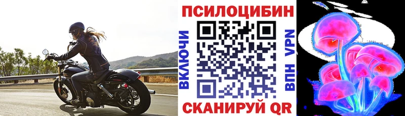 Псилоцибиновые грибы Magic Shrooms  МЕГА как войти  Мглин 